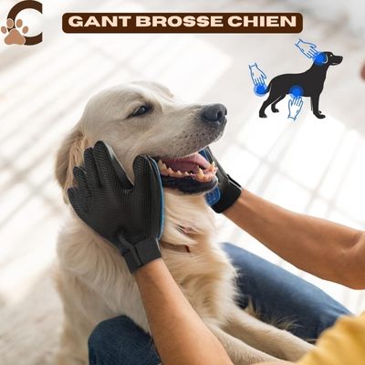 Gant brosse chien - EasyGlove™ - ChienCroyable