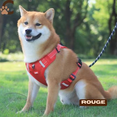 harnais-anti-traction-chien