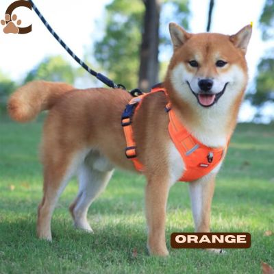 harnais-anti-traction-chien
