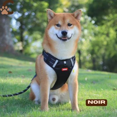 harnais-anti-traction-chien