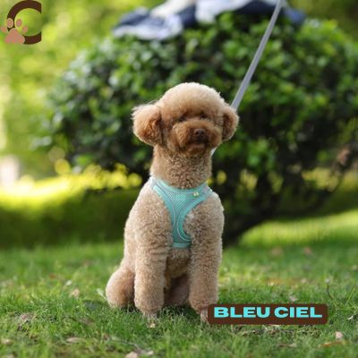 Harnais chien - AjustFit™ - ChienCroyable