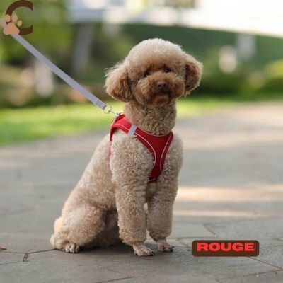 Harnais chien - AjustFit™ - ChienCroyable