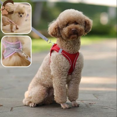 Harnais chien - AjustFit™ - ChienCroyable