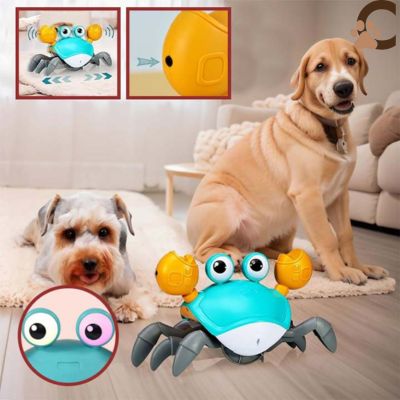 Jouet interactif pour chien - CrabiDog™ - ChienCroyable