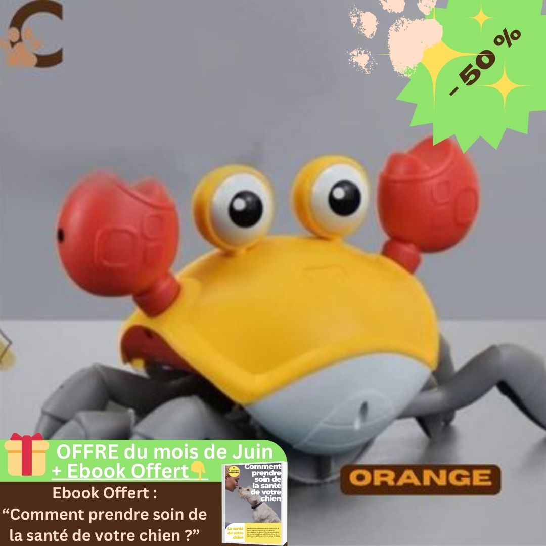 jouet-interactif-pour-chien-orange