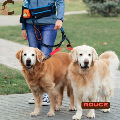 laisse-double-pour-chien-rouge