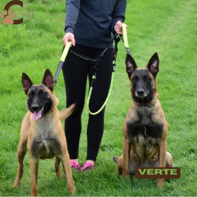 laisse-double-pour-chien-verte