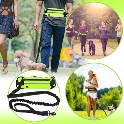 laisse-mains-libres-pour-chiens