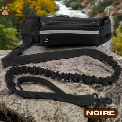 laisse-mains-libres-pour-chiens