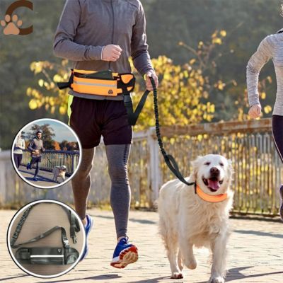 laisse-mains-libres-pour-chiens