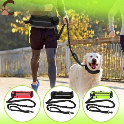 laisse-mains-libres-pour-chiens