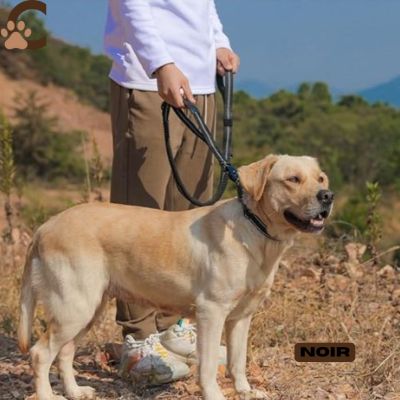 Laisse pour chien - Noir|NoctiLaisse™ - ChienCroyable