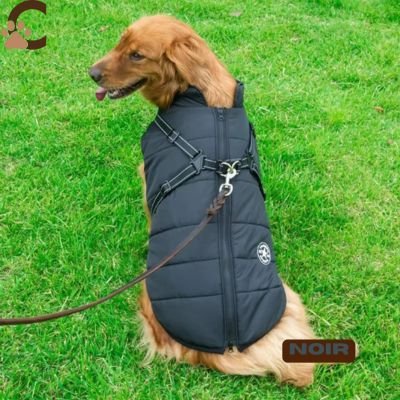 Manteau pour chien avec harnais intégré - AllinOne - Coat™ - ChienCroyable