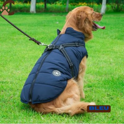 Manteau pour chien avec harnais intégré - AllinOne - Coat™ - ChienCroyable