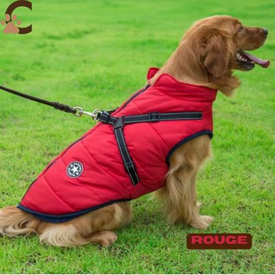 Manteau pour chien avec harnais intégré - AllinOne - Coat™ - ChienCroyable