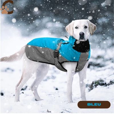 manteau-pour-chien-bleu