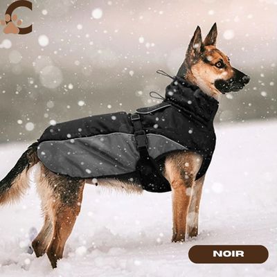 manteau-pour-chien-noir