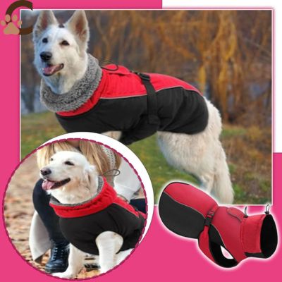manteaux-pour-chiens