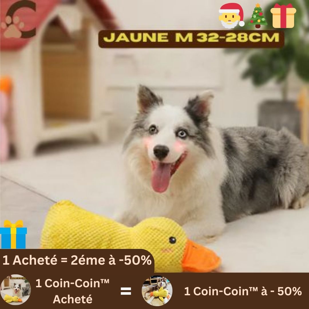 Peluche pour chien - Coin - Coin™ - ChienCroyable