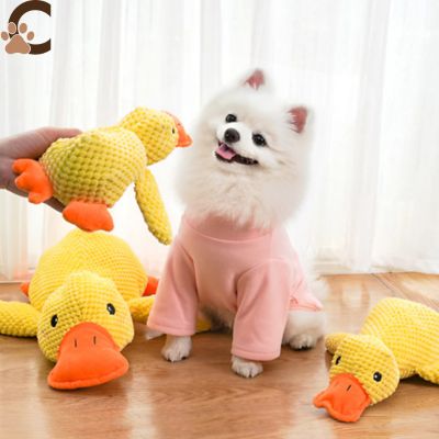 Peluche pour chien - Coin - Coin™ - ChienCroyable