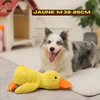 Peluche pour chien - Coin - Coin™ - ChienCroyable