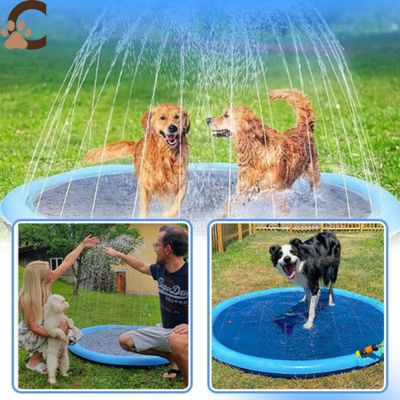 Piscine pour chien - AquWouaf™ - ChienCroyable