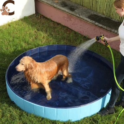 Piscine pour chien - AquWouf™ - ChienCroyable