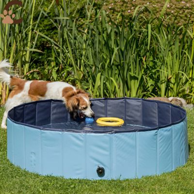 Piscine pour chien - AquWouf™ - ChienCroyable