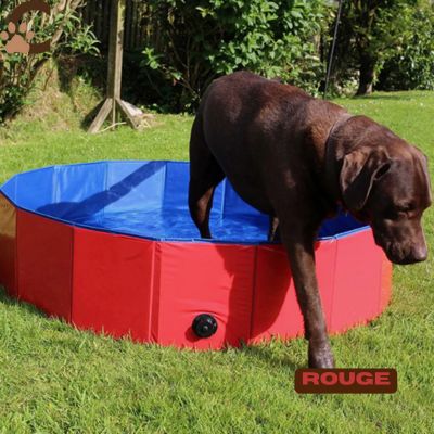 Piscine pour chien - AquWouf™ - ChienCroyable