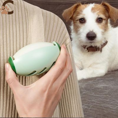 Rouleau anti poil - PoilStop™ - ChienCroyable