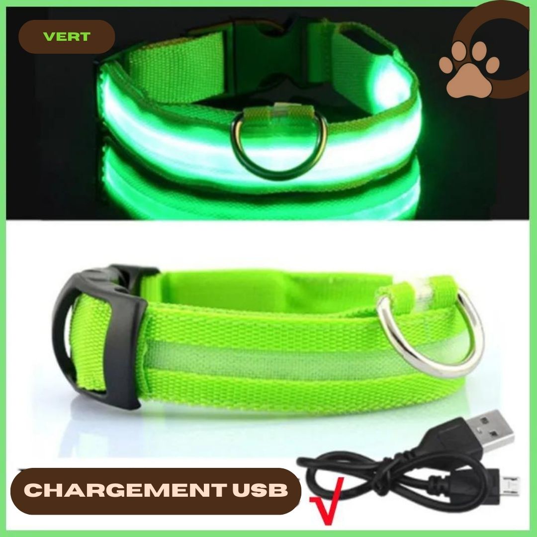 Collier lumineux chien vert - ShineSaferDog™ - ChienCroyable