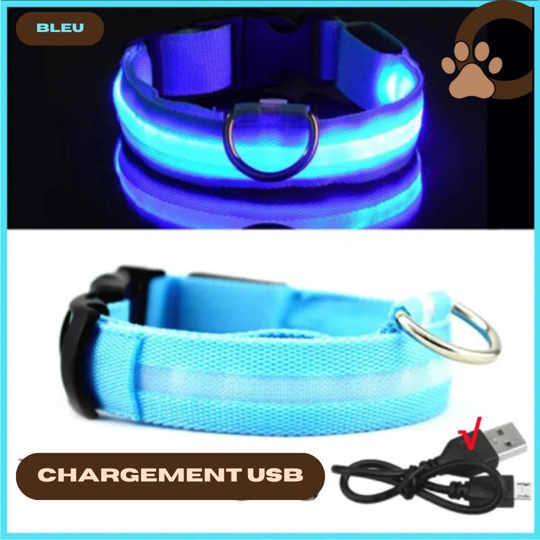 Collier lumineux chien bleu - ShineSaferDog™ - ChienCroyable