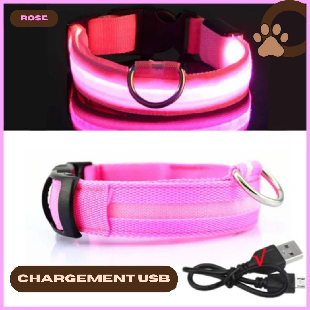 Collier lumineux chien rose - ShineSaferDog™ - ChienCroyable