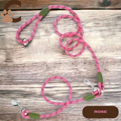 laisse-mains-libres-pour-chiens