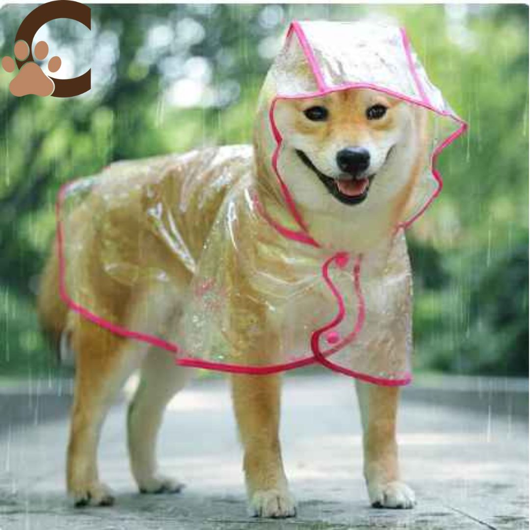 Manteau pour chien - DoggyPoncho™ + Pack cadeaux - ChienCroyable